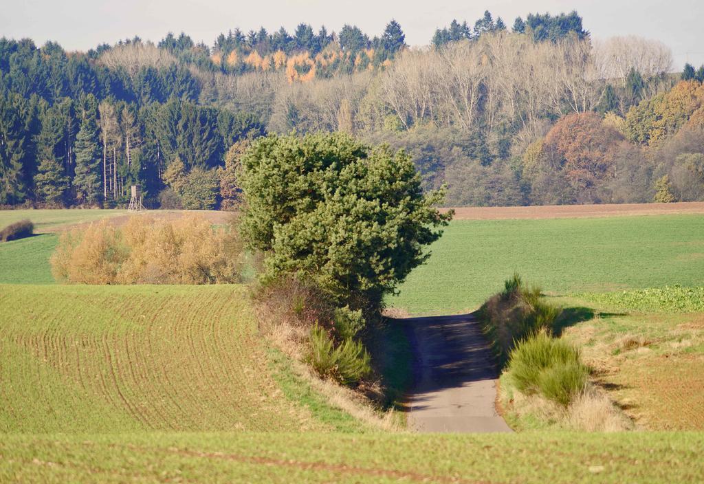 Saarlandtraum Weihermuehle Schmelz Extérieur photo